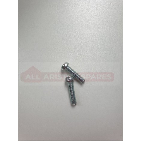 Ariston Secondary Exchanger Screws (2) 4333 