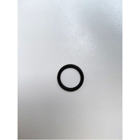 65114938 Ariston O-ring 17.13 X 2.62 (Clas ONE 24/30/38 & System)