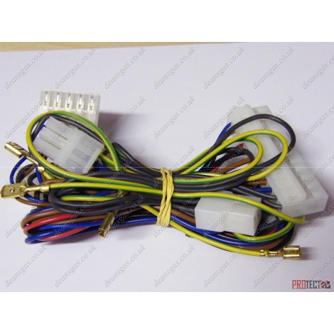 Ariston High Voltage Wiring 65102901 (ACO 27/32 RFFI System)