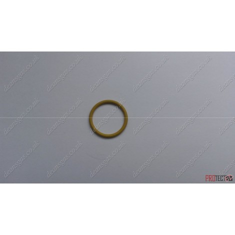 Ariston O-Ring (D: 17.17- 1.78) (x1) 65104303 (Clas HE 24/30/38)