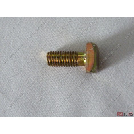 Ariston Screw (M8x20) 918064 (ST 50/80/100 Protech)